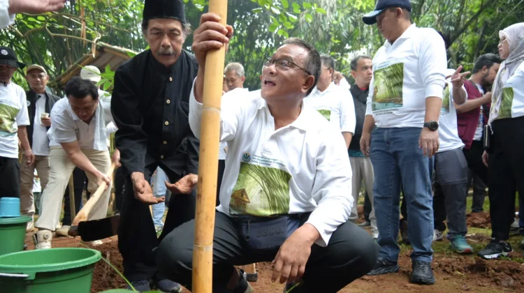 National Bamboo Movement Aims to Restore Indonesia's Ecosystems