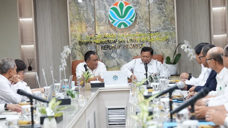 Giant Sea Wall Project, a Major Coastal Protection Initiative