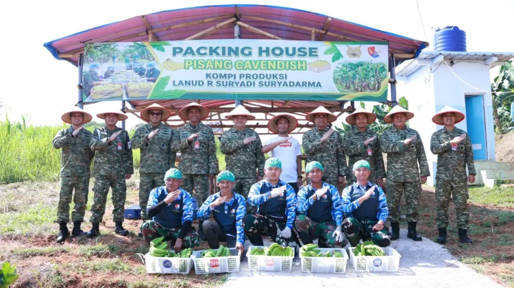 Lanud Suryadarma Harvests First Cavendish Bananas, Supports Food Security