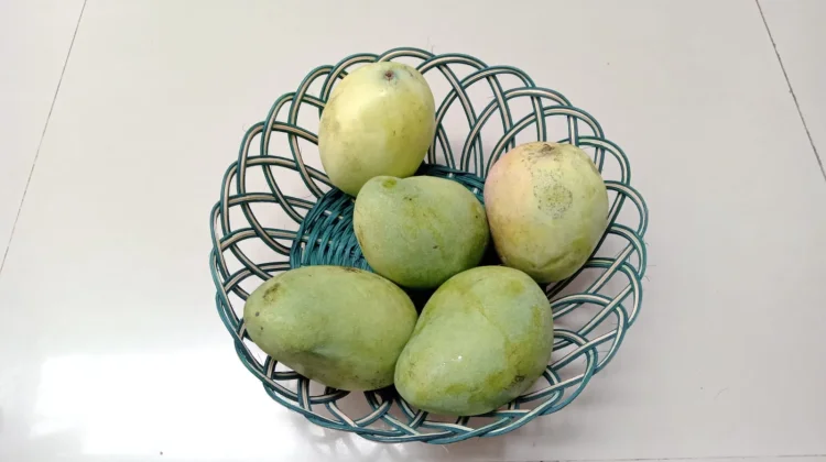 Eating Mango Makes You Healthy, Try it
