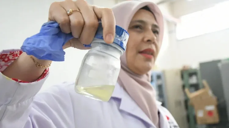 BRIN Turns Palm Oil Waste Into Renewable Energy