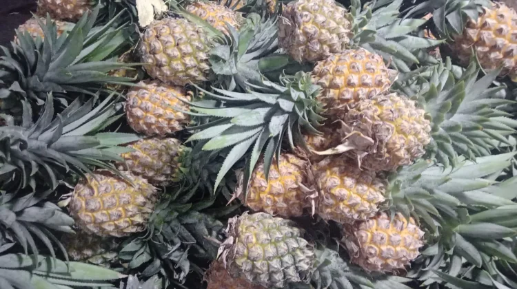 Eat Pineapple, It Helps You to keep Healthy