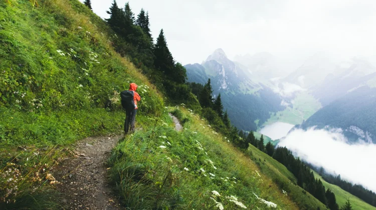 Mount Halimun Salak Launches National-Standard Ajisaka Trail