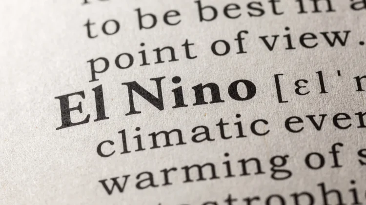 BMKG Urges Preparedness for Strong El Niño Impacts