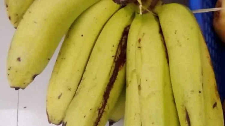 Just Eat Banana Regularly