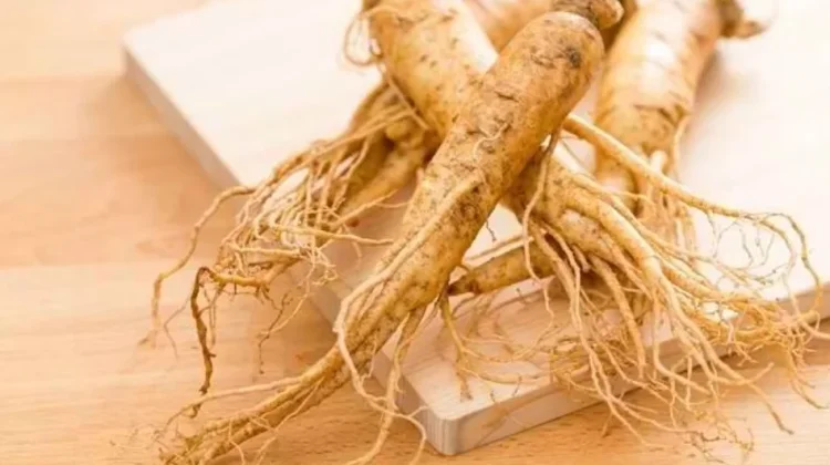Discover the Various Benefits of Ginseng for Body Health