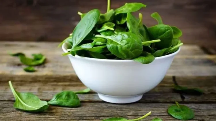 Rich in Nutrients, Spinach Has Various Benefits for Body Health
