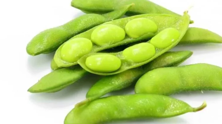 Edamame, a Healthy Snack Rich in Protein with Various Benefits