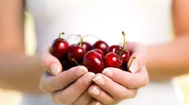 The Benefits of Cherry Fruit for Health, from Boosting Immunity to Overcoming Insom