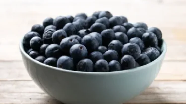 Blueberry, Small Fruit with a Wealth of Health Benefits