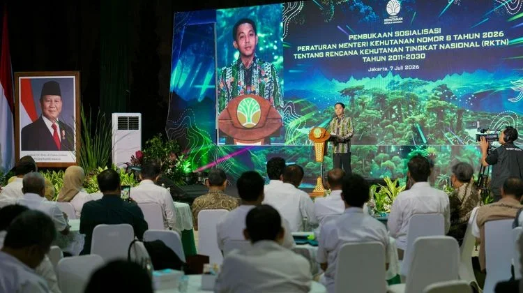Government Launches Forestry Carbon Hub Strengthening National Forestry Carbon
