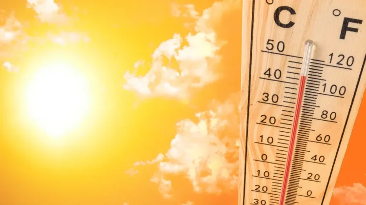 Beyond Heatwaves: Staying Healthy During Hot Weather