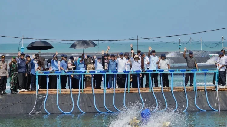 Indonesian Parliament Hails Kebumen's Shrimp Exports to U.S.