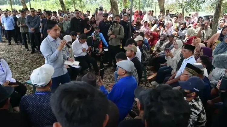 VP Gibran Supports Strengthening Cassava Ecosystem for Food Self-sufficiency