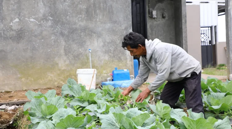 Central Java Expands Clean Water Access Through Rural Supply System