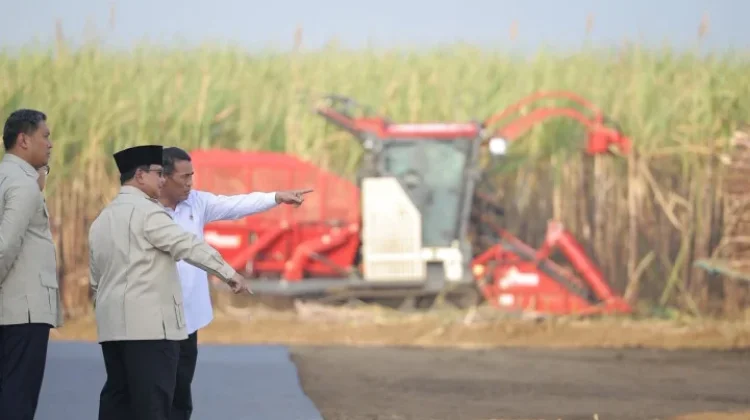 Indonesia Accelerates Sugar Self Sufficiency Through Cane Replanting Program