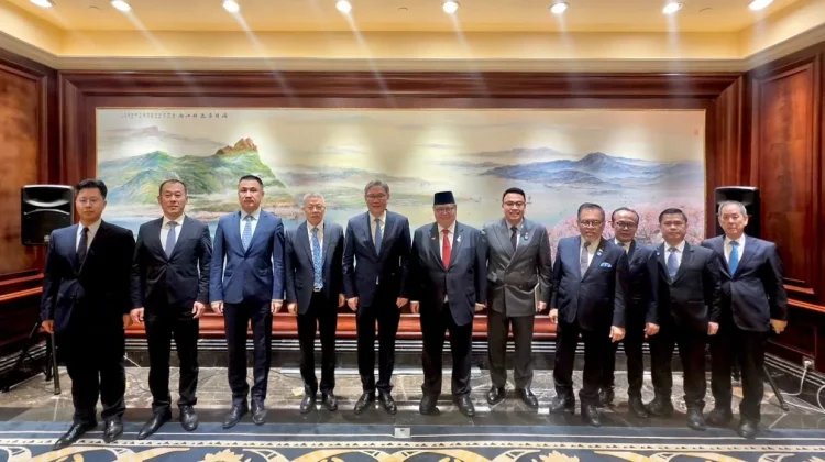 Indonesia Invites China to Build 100 GW Solar Power Infrastructure