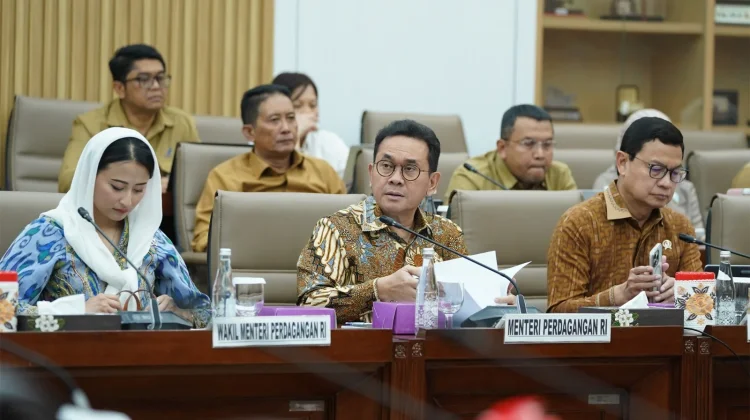 Minister Pushes for Ratification of Indonesia's International Trade Agreements