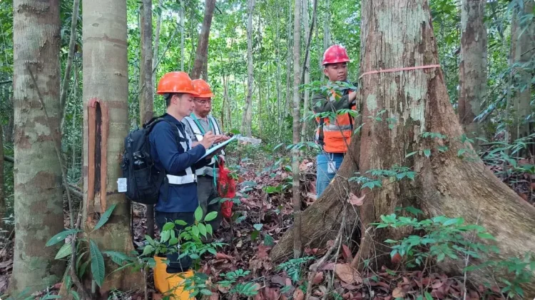 BRIN Researches Flora Diversity for Post-Mining Land Reclamation in West Kutai