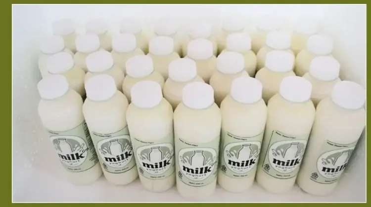 BRIN Tests Fermented Milk to Prevent Anemia in Adolescent Girls