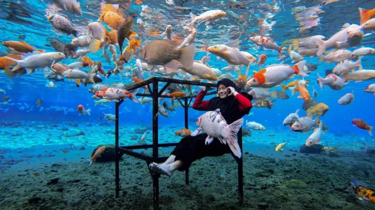Umbul Ponggok Offers Indonesia's Unique Freshwater Adventure