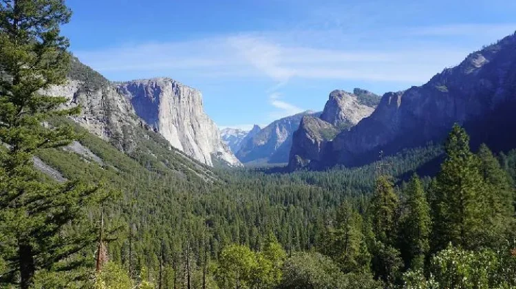 Indonesia Affirms Commitment to Protecting Natural World Heritage