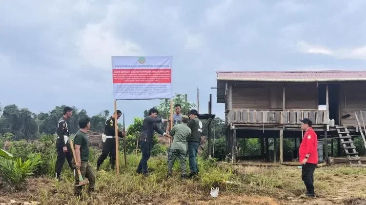 Indonesia Reinforces Forest Area Security After License Revocation