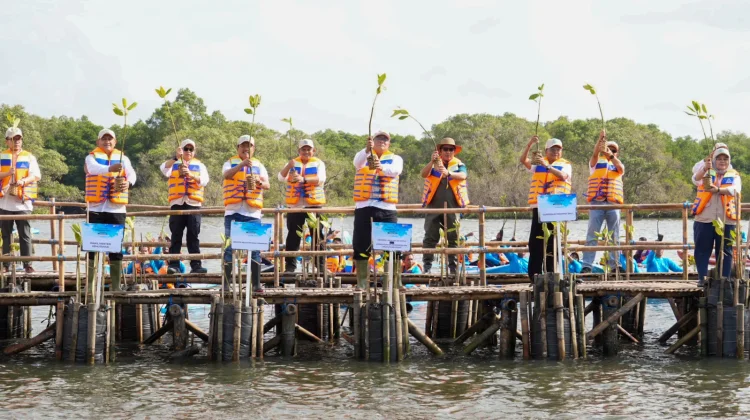 Indonesia Plants More than One Million Mangrove Seedlings Simultaneously