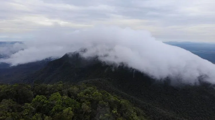 Gunung Maras National Park Strengthens Commitment to Biodiversity Conservation
