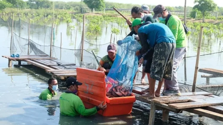 Surabaya Promotes Diverse Protein Sources for Healthy Diets