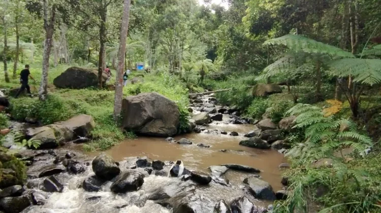 The Ministry of Forestry Speeds up Digitalization of Conservation Area