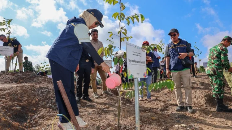IKN Adopts Rewilding Approach to Build Sustainable Forest City
