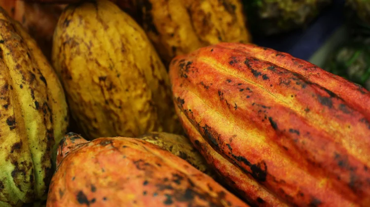 Ministry of Trade Sets Reference Prices for Commodities in August 2026
