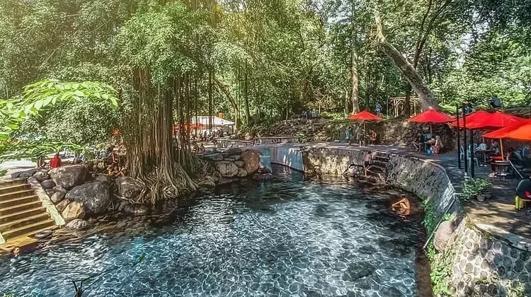 Klaten’s Umbul Sigedang-Kapilaler Offers Underwater Beauty