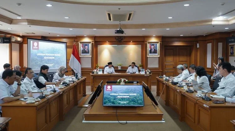Indonesia Increases Transparency in Forestry Licensing