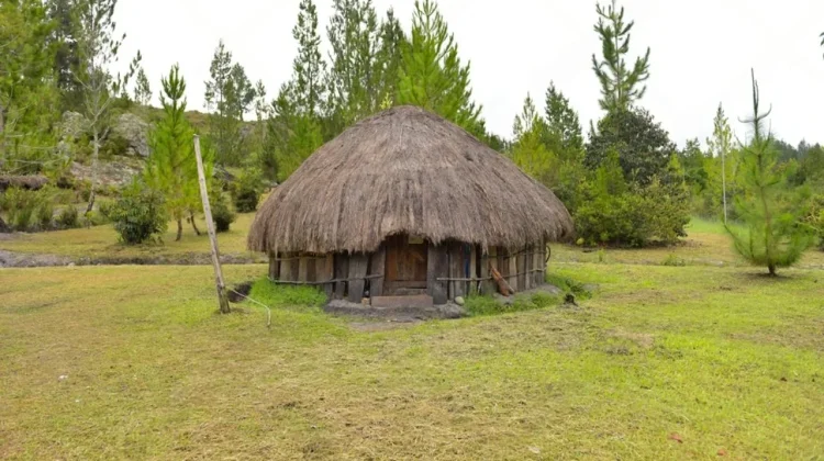 Honai: The Papuan House Now Recognized as Indonesian National Cultural Heritage