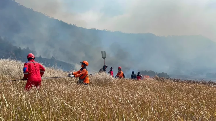 Mount Bromo Wildfire Burns 60 Hectares