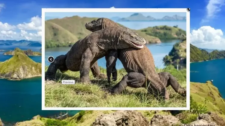 Komodo Biosphere Reserve, Home of the World's Largest Ancient Lizard