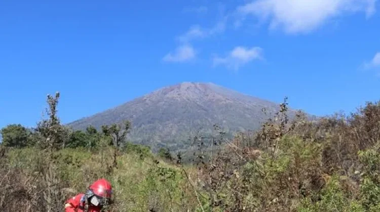 Govt's Quick Response to Control the Fire in Mount Rinjani Conservation Area