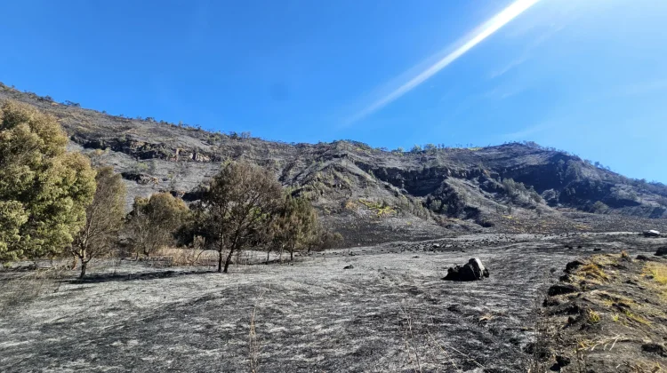 Ministry of Tourism Coordination Regarding the Fire in the Bromo Area