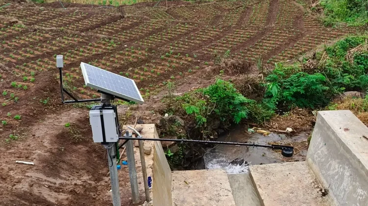 BRIN Develops Technology to Measure the Real Impact of Reforestation