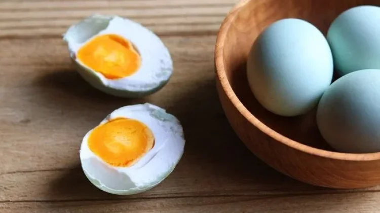 Do you know Why Salted Eggs Usually Made from Duck Eggs?