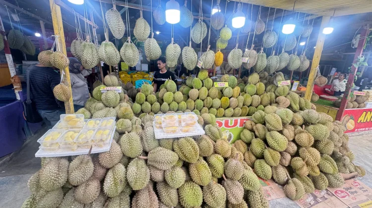 Durian Exports in Transmigration Areas Drive Its Prices Up to Sixfolds: Minister