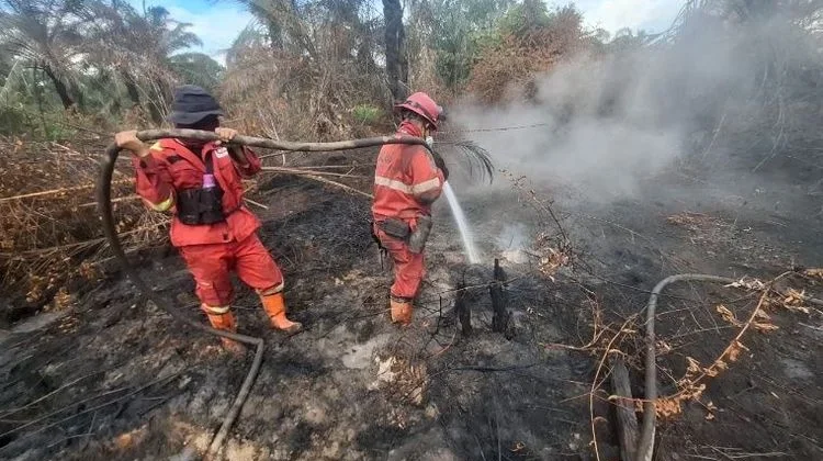 Indonesian Government Expands Alert Zone Over Forest and Land Fire Impacts