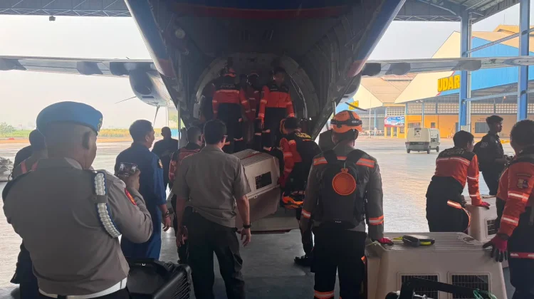 Earthquake Hits NTT, Polri Mobilizes Air And Land Emergency Aid