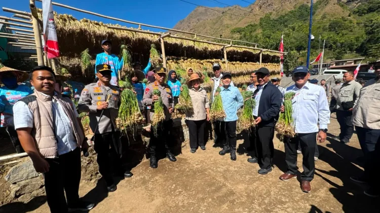 Chairperson of Commission IV Urges Garlic Production Boost To Cut Imports