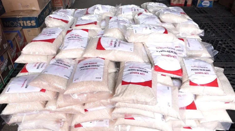 Govt Keeps Sending Aid to NTT After Earthquake