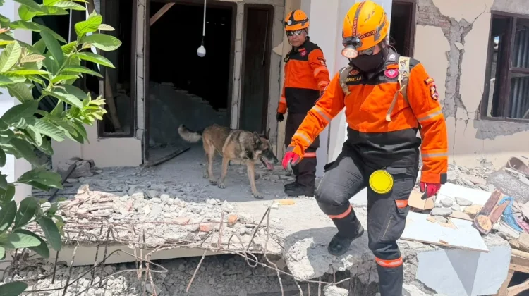 Polri K-9 Dogs Lead Rescue After New NTT Quake