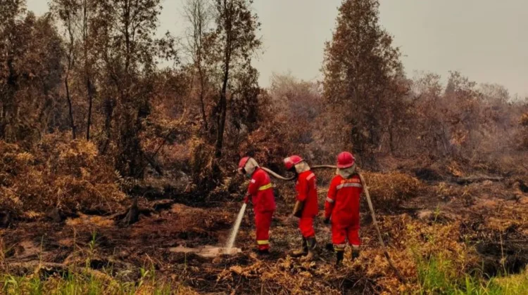 Indonesia Enhances Fire Response Across Kalimantan