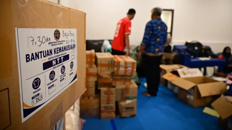 Transportation Ministry Distributes Aid for NTT Earthquake Survivors